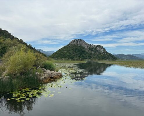 Skadar-See Nationalpark Montenegro