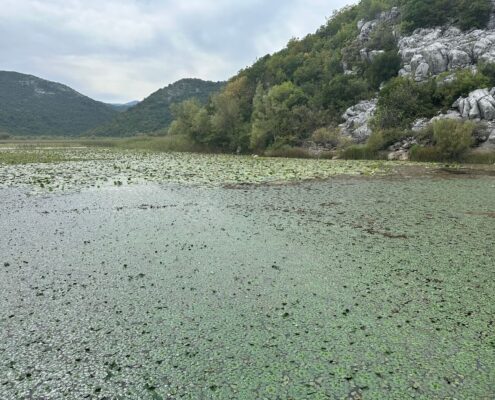Skadar-See Nationalpark Montenegro