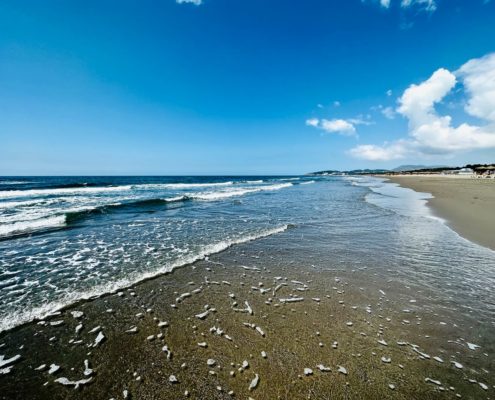 Velika Plaza – Long Beach am Urlaubsort Ulcinj