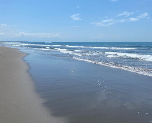 ADA BOJANA BEACH - „Plaža Ada Bojana“