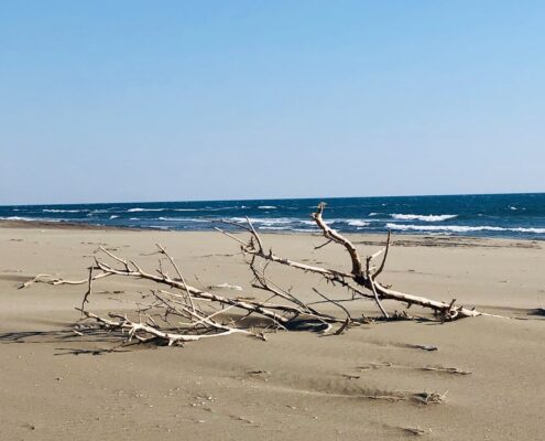 ADA BOJANA BEACH - „Plaža Ada Bojana“